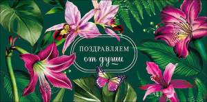 Конверт для денег "Поздравляем"