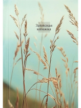 Блокнот А6 7БЦ 160л "Aesthetics - 1" кл., глянц.лам.