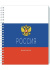 Дневник универсальн. обл. картон "Россия. Триколор" ГРЕБЕНЬ, 40л.
