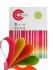 Бумага А4 цветная 100л Color Code (5цв. по 20л.) Микс НЕОН