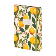 Записная книжка А5 100л. 7БЦ "Megapolis journal. Flora. Paradise. Lemons" лин., резинка, кармашек Записная книжка А5 100л. 7БЦ "Megapolis journal. Flora. Paradise. Lemons" лин., резинка, кармашек