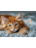 Альбом А4 24л клеевой кор. "Котик - 4" пл. 100 гр/м