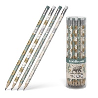 Карандаш Natural Life НВ трехгранный с ластиком, тубус