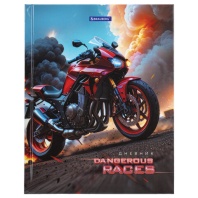 Дневник 5-11 класс 48 л., твердый, BRAUBERG, глянцевая ламинация, с подсказом, Байк, 107186