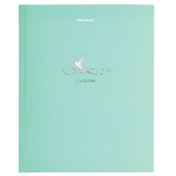 Дневник 5-11 класс 48 л., твердый, BRAUBERG, фольга, с подсказом, Aspiration, 107199