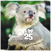 Календарь настенный перекидной на 2025 г., BRAUBERG, 12 листов, 22,5х22,5 см, МИНИ, "Дикие животные", 116179 Календарь настенный перекидной на 2025 г., BRAUBERG, 12 листов, 22,5х22,5 см, МИНИ, "Дикие животные", 116179