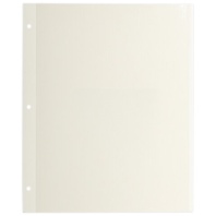 Листы для фотоальбома магнитные 23х28 см, КОМПЛЕКТ 10 шт., BRAUBERG, 391312 Листы для фотоальбома магнитные 23х28 см, КОМПЛЕКТ 10 шт., BRAUBERG, 391312