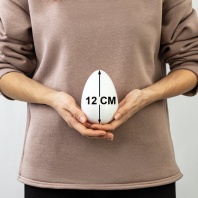 Пенопластовые заготовки для творчества "Эллипсы", 1 шт., 120 мм, ОСТРОВ СОКРОВИЩ, 661357