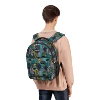 Ученический рюкзак ErichKrause EasyLine с двумя отделениями 20L Siberia