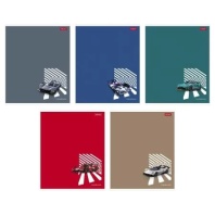 Тетрадь А5  60л ЛИН. Hatber  пласт.обл. "Супергонки" 5 диз.в блоке