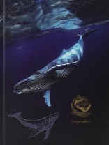 Ежедневник недат. А5 128л., 7БЦ "Большой синий кит" мат.лам., выб.лак.