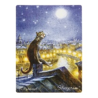 Магнит сувенирный СПБ. "Коты Румянцева": Звездочёт