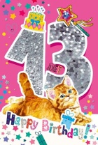 Открытка А5 "13 лет.С Днем рождения!"