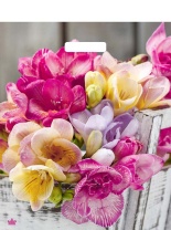 Пакет 45*38см (60мк) с вырубной укрепл. ручкой "Цветочная симфония" Ламинат