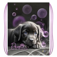 Мешок для обуви 1 отд, 340*420 "Дай лапу"