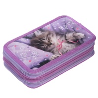 Пенал 3 отд. (190*110*63) молния, лам.картон "Что снится котикам?"