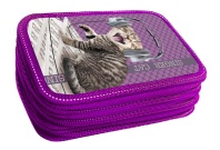 Пенал 3 отд. (205*125*55) молния, лам.картон металлиз. "Кот - певец"