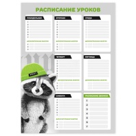 Расписание уроков А3 "Енот в шапочке" выб. УФ-лак, 235гр/м2 Расписание уроков А3 "Енот в шапочке" выб. УФ-лак, 235гр/м2