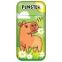 Корректирующая лента FUNSTER, 5мм х 5м, корпус ассорти, блистер, 273020