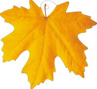 Вырубная фигурка 10*10см "Листочек кленовый желтый"  УФ -лак