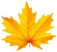 Вырубная фигурка 11*10см "Клен" желтый УФ -лак