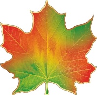 Украшение на скотче 14*14см  "Кленовый лист"