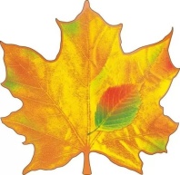 Украшение на скотче 14*14см  "Кленовый лист"