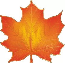 Украшение на скотче 14*14см  "Кленовый лист" оранжевый