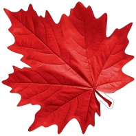Украшение на скотче 15*15см  "Лист клёна бордовый"