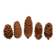 Декоративные элементы "Шишки еловые" 5шт