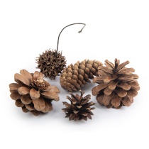 Декоративные элементы "Шишки" микс 5шт