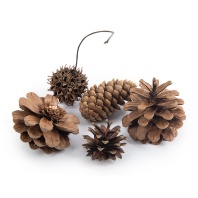 Декоративные элементы "Шишки" микс 5шт