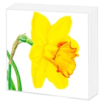 Салфетки бумажные 50л. Нарциссы