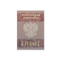Обложка для паспорта прозрачная с матовым рисунком, ПВХ, ДПС, 2203.180.М Обложка для паспорта прозрачная с матовым рисунком, ПВХ, ДПС, 2203.180.М