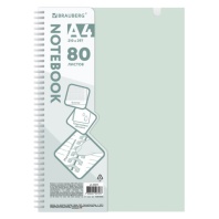 Тетрадь обложка пластик, А4 80л. гребень мягкий, вырубка для ручки, клетка, BRAUBERG, светло-зеленый, 405373 Тетрадь обложка пластик, А4 80л. гребень мягкий, вырубка для ручки, клетка, BRAUBERG, светло-зеленый, 405373