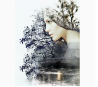 Холст с красками 30х40 см по номерам (в коробке) (30 цв.) Богиня природы (арт. Х-5188)|РЫ|Х-5188