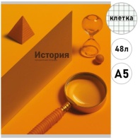 TМ Prof-Press Тетрадь КЛЕТКА 48л. ИСТОРИЯ «НА УРОКЕ» (48-2371) софт-тач|Из|48-2371