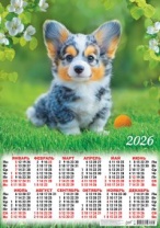 Календарь ЛИСТОВОЙ 594*420мм, А2 Корги, на 2026 год