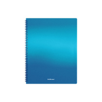 Папка файловая пластиковая на спирали ErichKrause Matt Ice Metallic, c 20 карманами, A4, ассорти (в