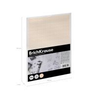 Бумага масштабно-координатная в пластиковой папке ErichKrause, А4, 20 листов