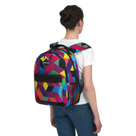 Ученический рюкзак ErichKrause EasyLine с двумя отделениями 20L Disco Style