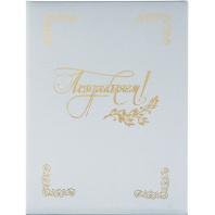 Папка Адресная А4 "ПОЗДРАВЛЯЕМ" серебро Папка Адресная А4 "ПОЗДРАВЛЯЕМ" серебро