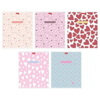 Тетрадь А5 48л кл. Hatber пласт.обл. "LOVE IS...." 5 диз.в блоке Тетрадь А5 48л кл. Hatber пласт.обл. "LOVE IS...." 5 диз.в блоке