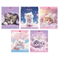 Тетрадь А5 48л кл. Hatber пласт.обл. "Нежные мечты" 5 диз.в блоке Тетрадь А5 48л кл. Hatber пласт.обл. "Нежные мечты" 5 диз.в блоке