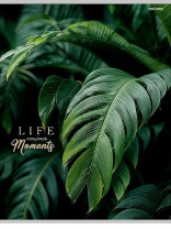 Тетрадь КЛЕТКА 96л. А4 ЗЕЛЁНЫЕ ЛИСТЬЯ - 5 (96-8927) 4+4, тиснение холст|Из|96-8927 Тетрадь КЛЕТКА 96л. А4 ЗЕЛЁНЫЕ ЛИСТЬЯ - 5 (96-8927) 4+4, тиснение холст|Из|96-8927