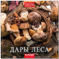 Календарь КВАДРАТ  285*285мм на 2026г.  Дары леса