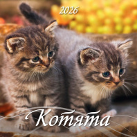 Календарь КВАДРАТ  285*285мм на 2026г.  Котята
