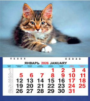 Календарь МАЛЫЙ  200*240мм на 2026г. Котенок