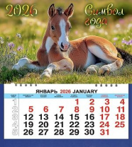 Календарь МАЛЫЙ  200*240мм на 2026г. СГ_Жеребёнок