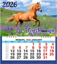 Календарь МАЛЫЙ  200*240мм на 2026г. СГ_Лошадь в цветах